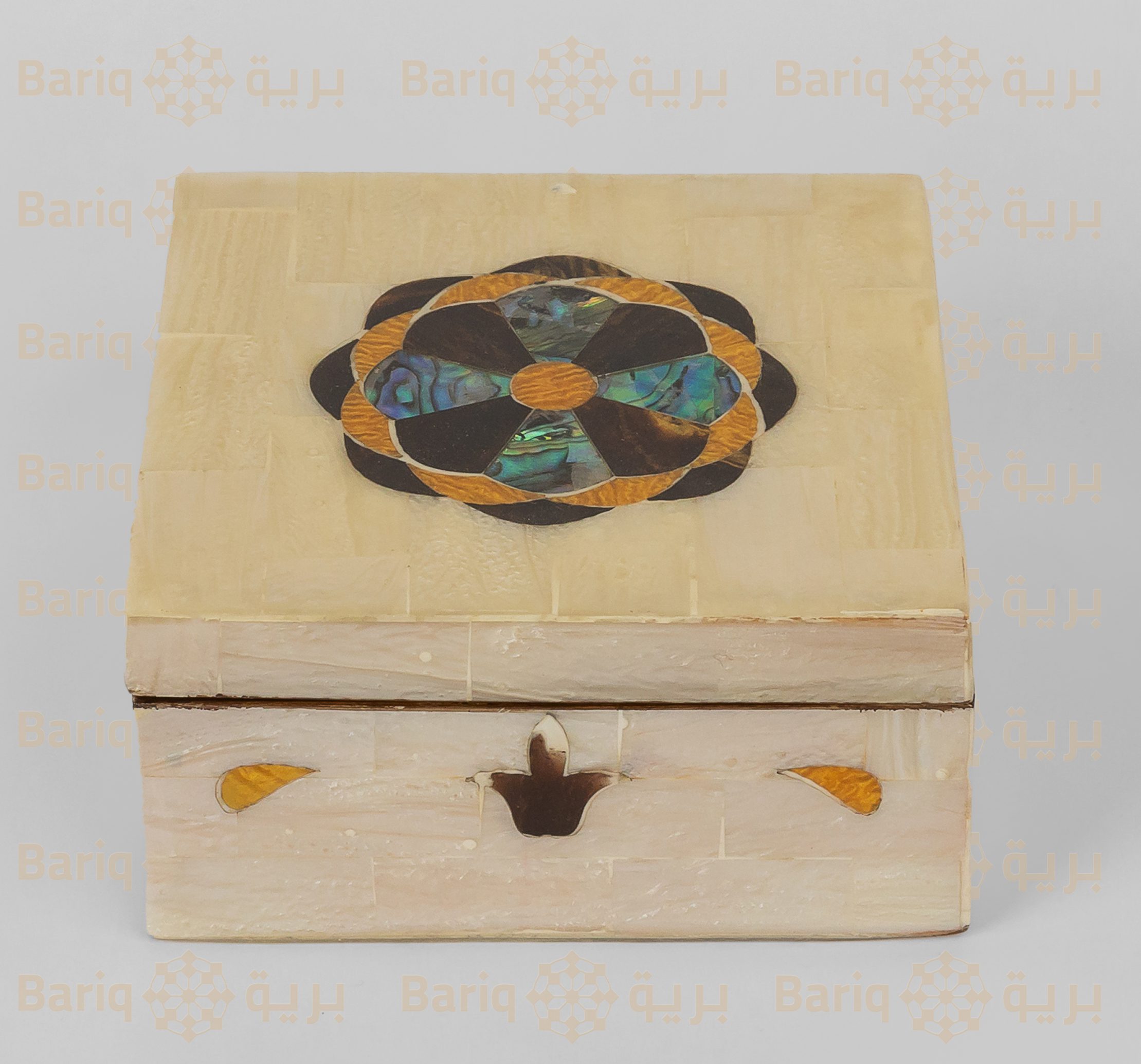 1048 علبة صدف - الصورة 1