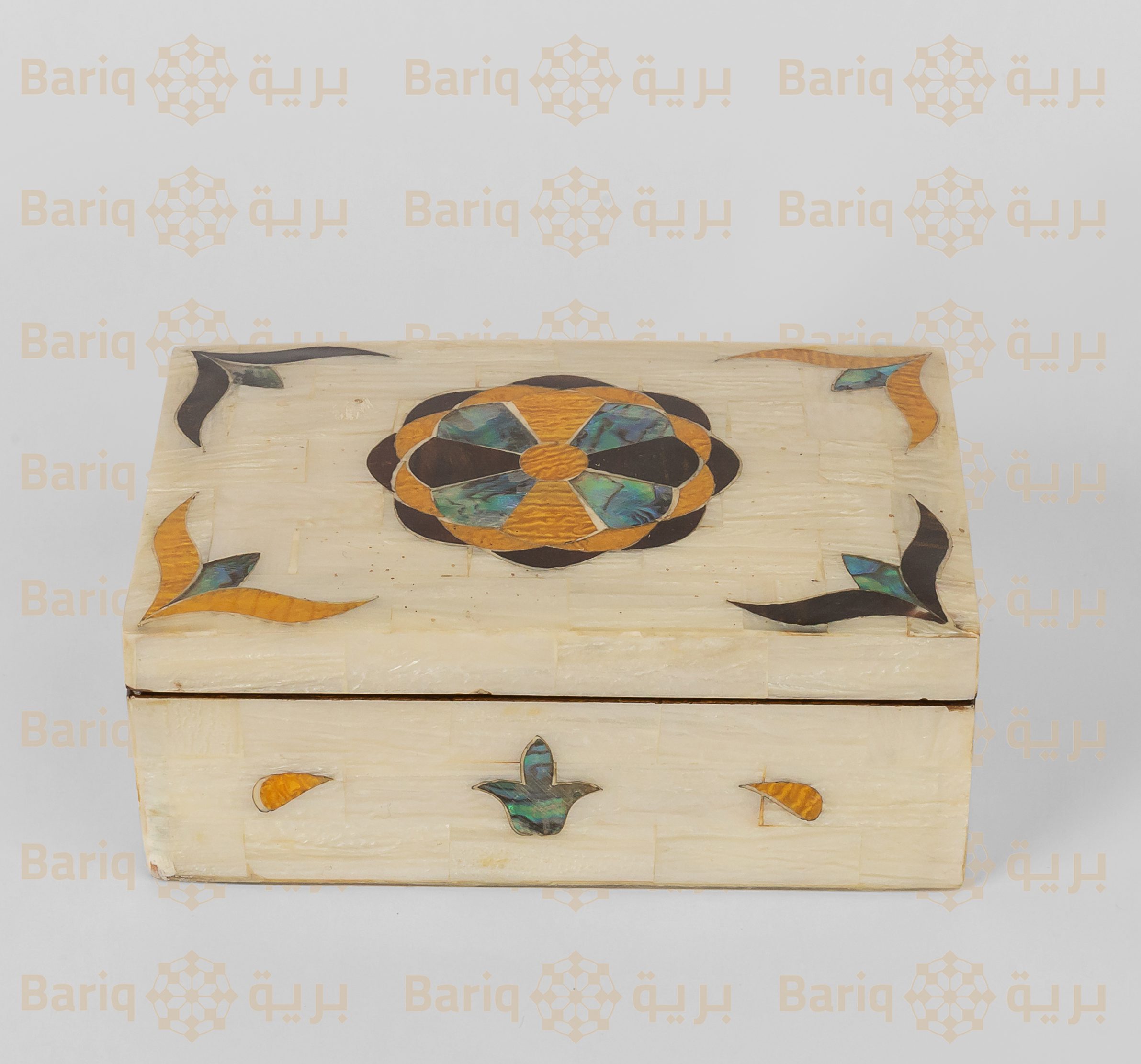 1050 علبة صدف - الصورة 1