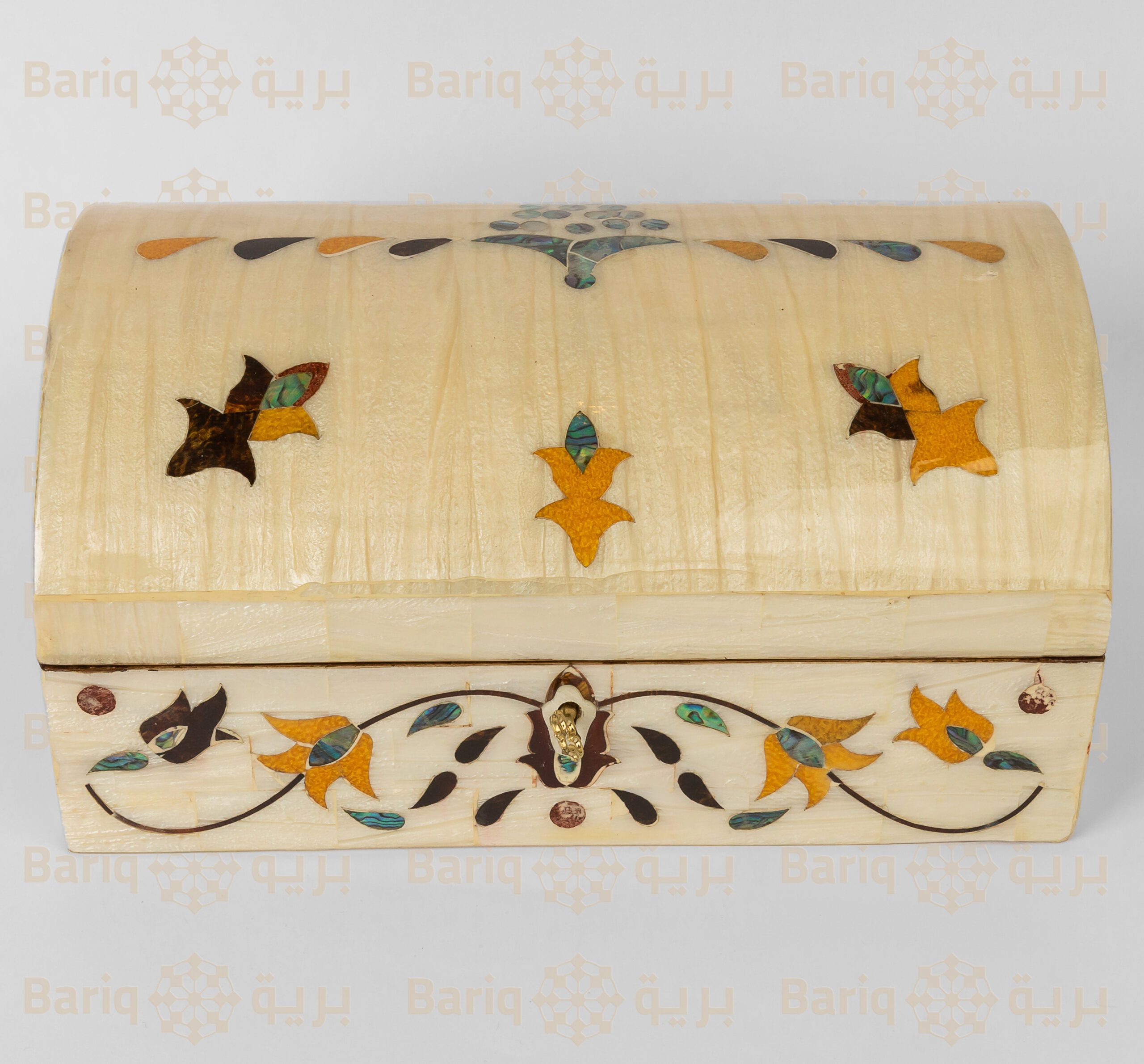 1062 علبة صدف - الصورة 1